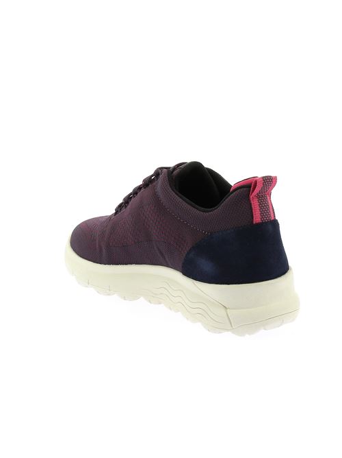 Spherica 4x4 Abx sneakers da donna in tela impermeabile VIOLA GEOX | D2626C06K22C8HF4