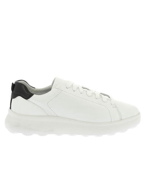 Spherica EC4 sneakers da uomo in pelle bianca GEOX | U36FUA00085C1000