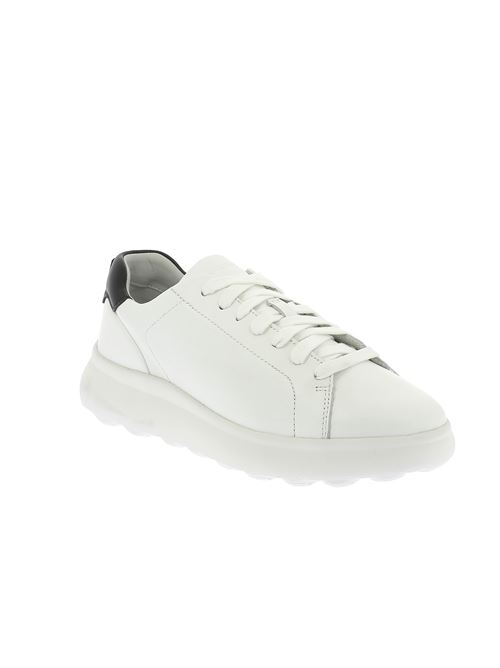 Spherica EC4 sneakers da uomo in pelle bianca GEOX | U36FUA00085C1000