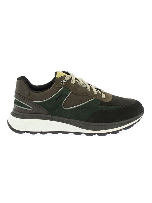 Spherica Actif sneakers da uomo in camoscio multicolor GEOX | U46HGA00022C6T3X