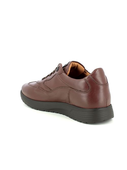 Walk stringata da uomo in pelle marrone MELLUSO | U16252X