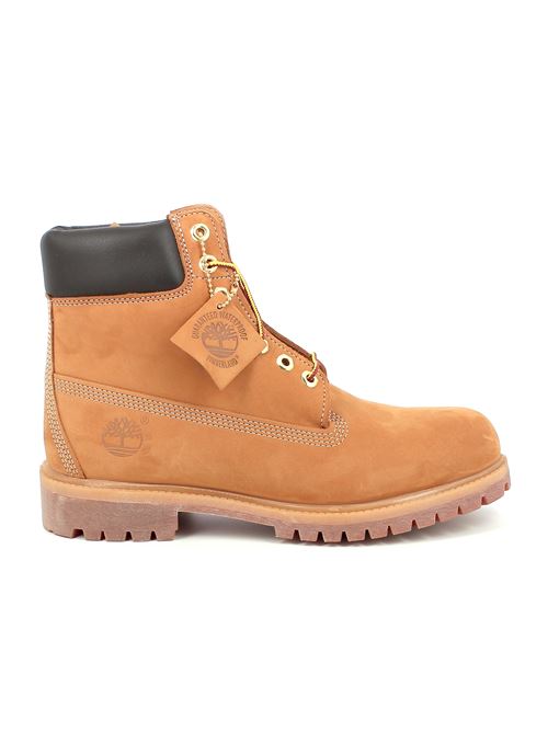 Premium 6 in Lace polacco da uomo in nabuk giallo TIMBERLAND | 100617131