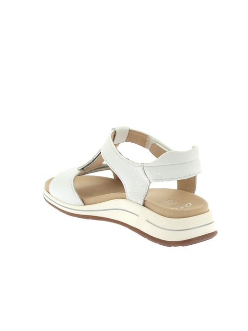 Osaka-S sandalo con strap da donna in pelle bianca ARA | 3480404