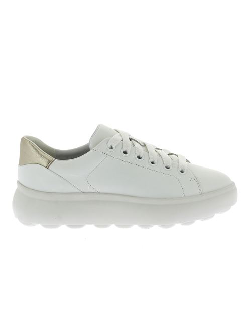 Spherica EC4.1 sneakers da donna in pelle bianca GEOX | D35TCB085Y2C0232