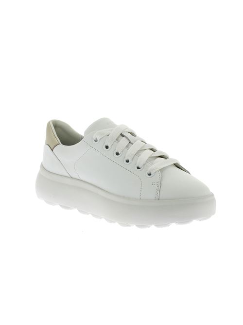 Spherica EC4.1 sneakers da donna in pelle bianca GEOX | D35TCB085Y2C0232