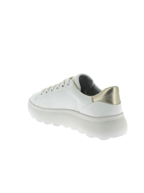 Spherica EC4.1 sneakers da donna in pelle bianca GEOX | D35TCB085Y2C0232