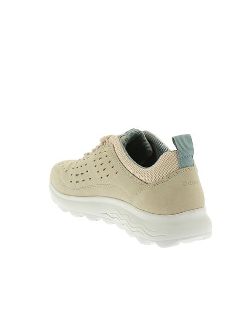 Spherica D sneakers da donna in camoscio beige GEOX | D45NUD02214C5004