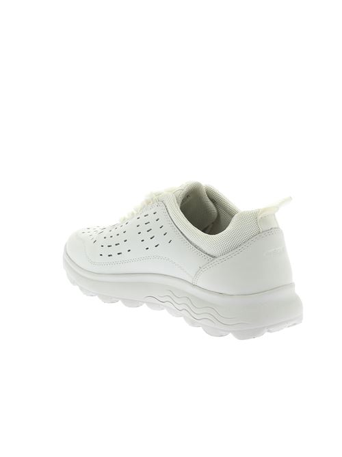 Spherica D sneakers da donna in pelle bianca GEOX | D45NUD08514C1000