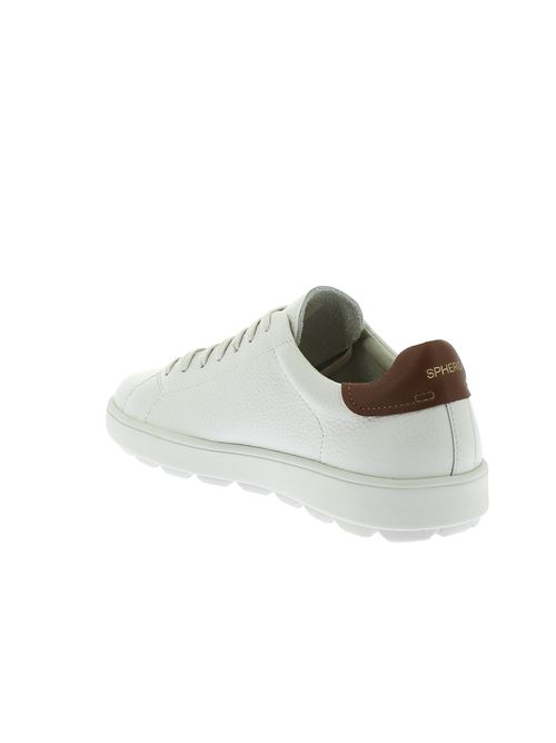 Spherica Ecub sneakers da uomo in pelle bianca GEOX | U55GPC00046C1000