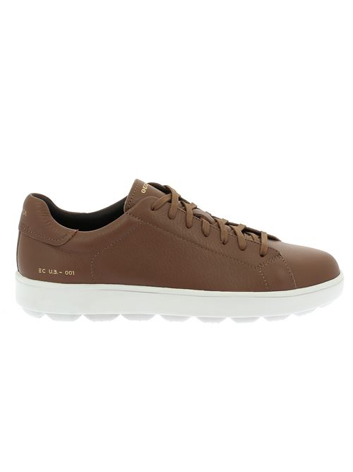 Spherica Ecub sneakers da uomo in pelle marrone GEOX | U55GPC00046C6018