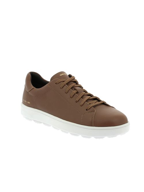 Spherica Ecub sneakers da uomo in pelle marrone GEOX | U55GPC00046C6018