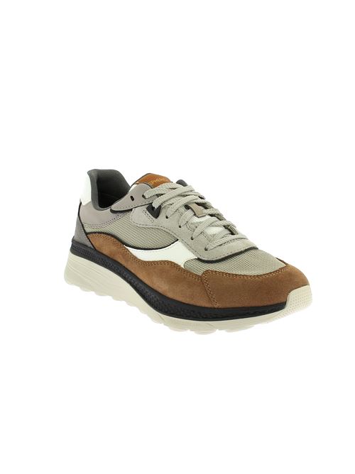 Spherica Actif X1 sneakers da uomo in camoscio e tessuto cuoio e sabbia GEOX | U55HUA01422C5ZS6